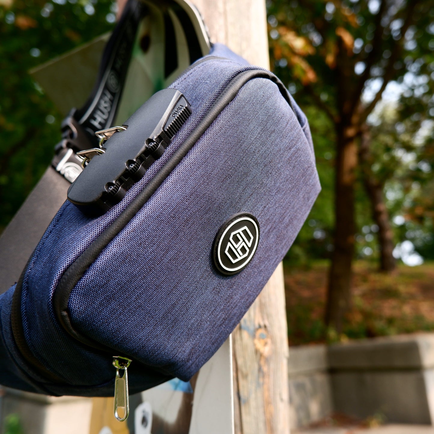 Fanny Pack - Blue